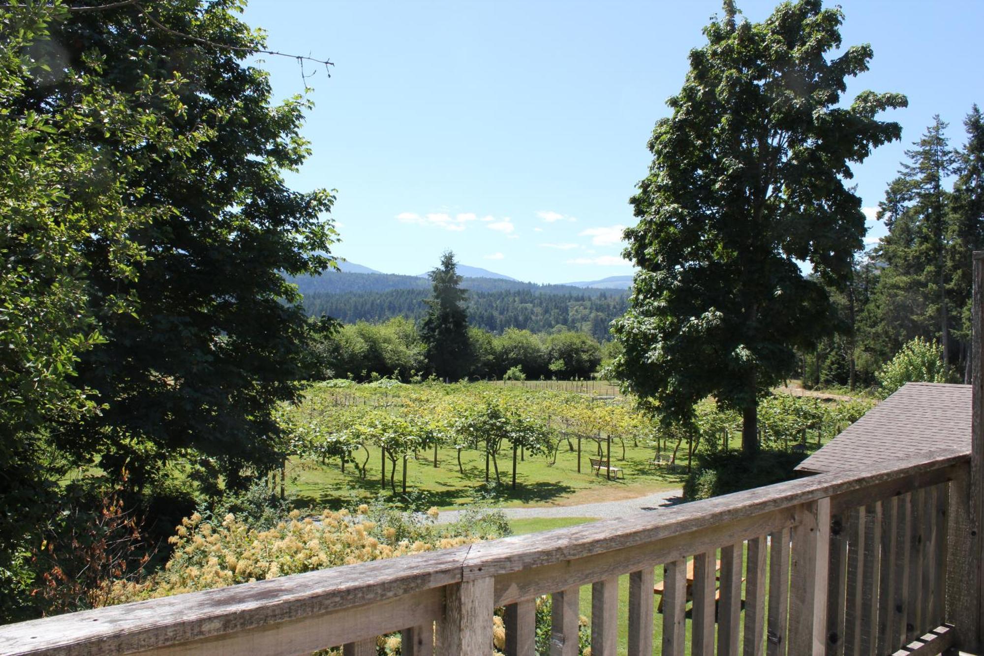 Kiwi Cove Lodge Ladysmith Esterno foto